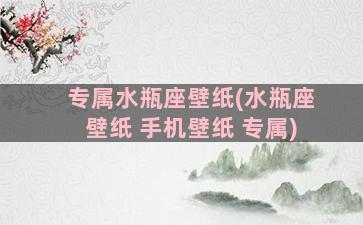 专属水瓶座壁纸(水瓶座壁纸 手机壁纸 专属)